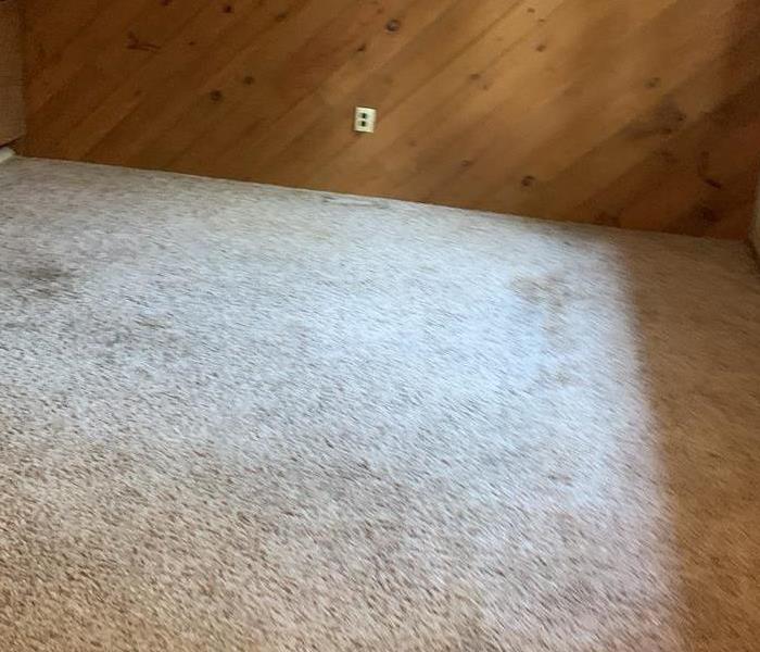 A room with carpet and wood paneling on the wall 