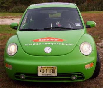 Marketing Beetle, team member at SERVPRO of Mt. Laurel / Moorestown